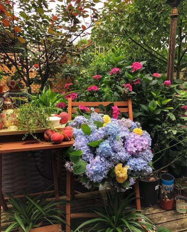 香香的花园自拍杆,香香的花围墙推荐