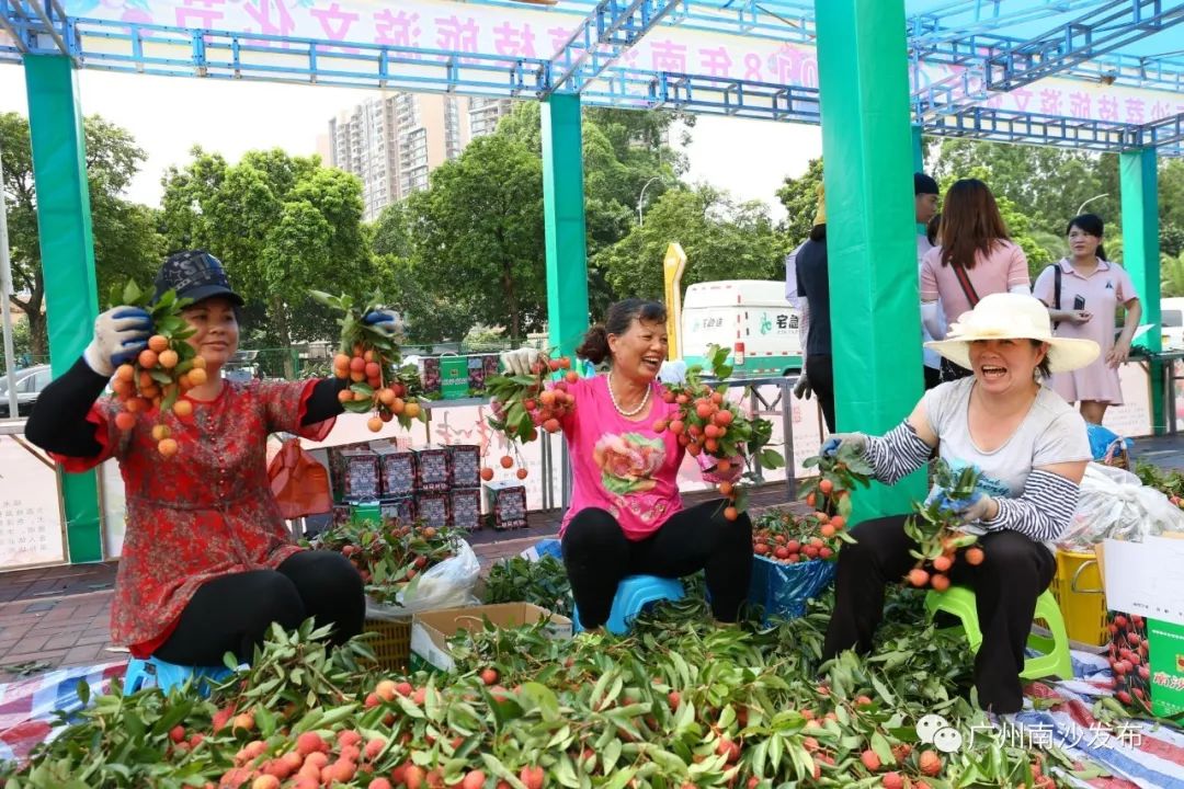 南沙荔枝节,广州南沙荔枝节