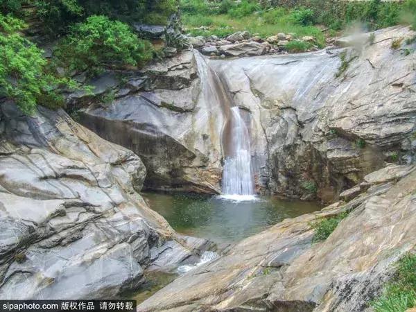 今日夏至愿所有的美好如夏而至,今日夏至留住一年中最诗意的时光