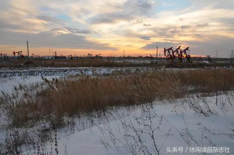 百年老窖窖龄60年辨真假,百年老窖酒怎么样