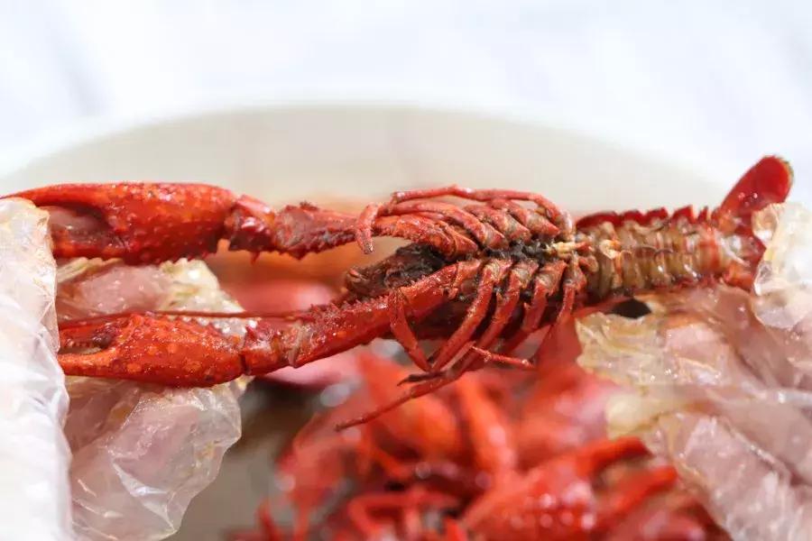 国民龙虾批发,小龙虾网上购买攻略