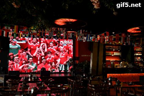 有球必应花果园,有球必应篮球公园