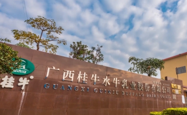桂牛水牛乳业,桂牛水牛牧场纯牛奶