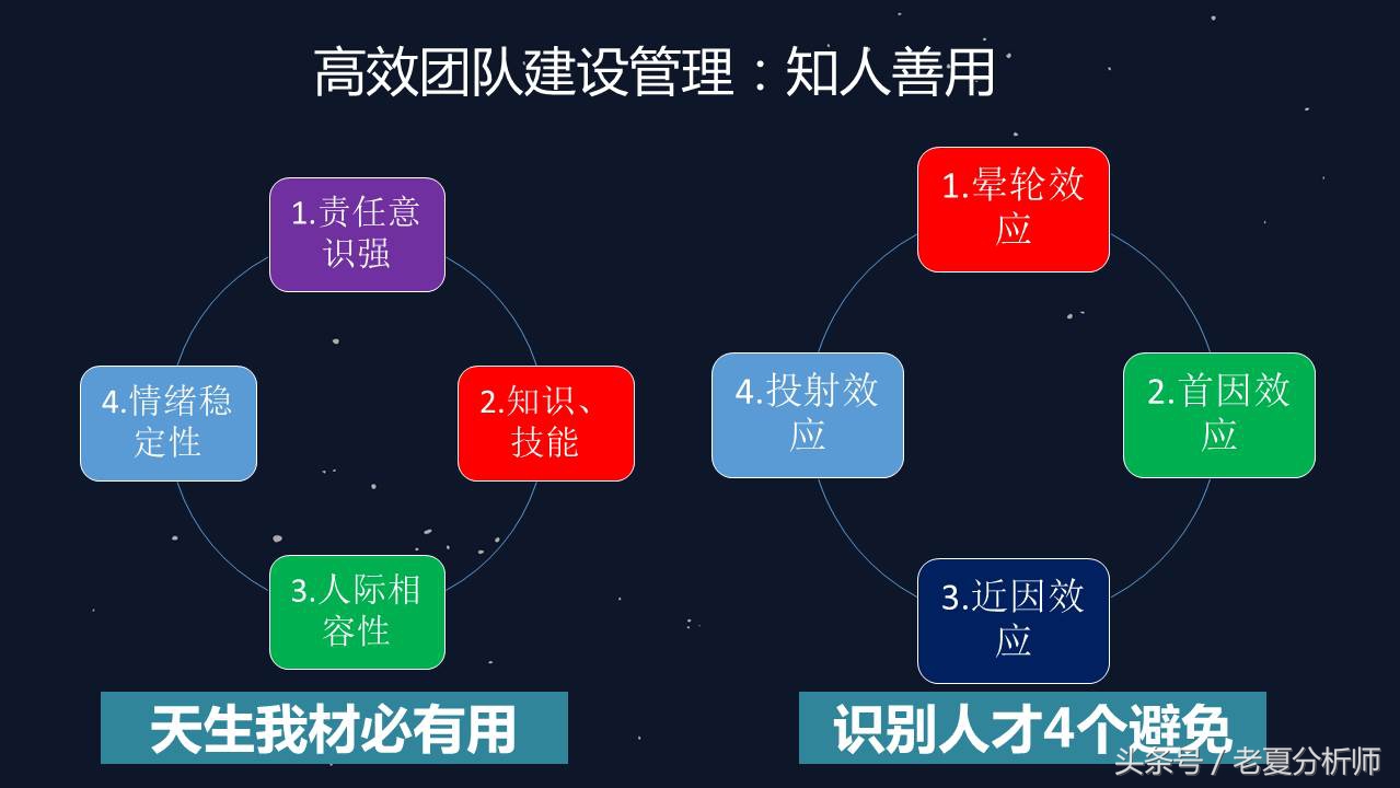 团队建设人才培养与团队管理,团队领导力和团队管理