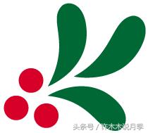 许木木说月季完整版,许木木说月季用药