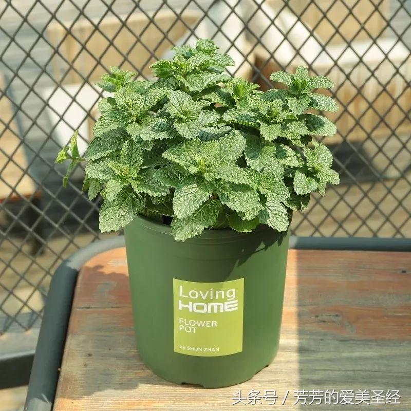 世界杯往年经验,世界杯赛场经验