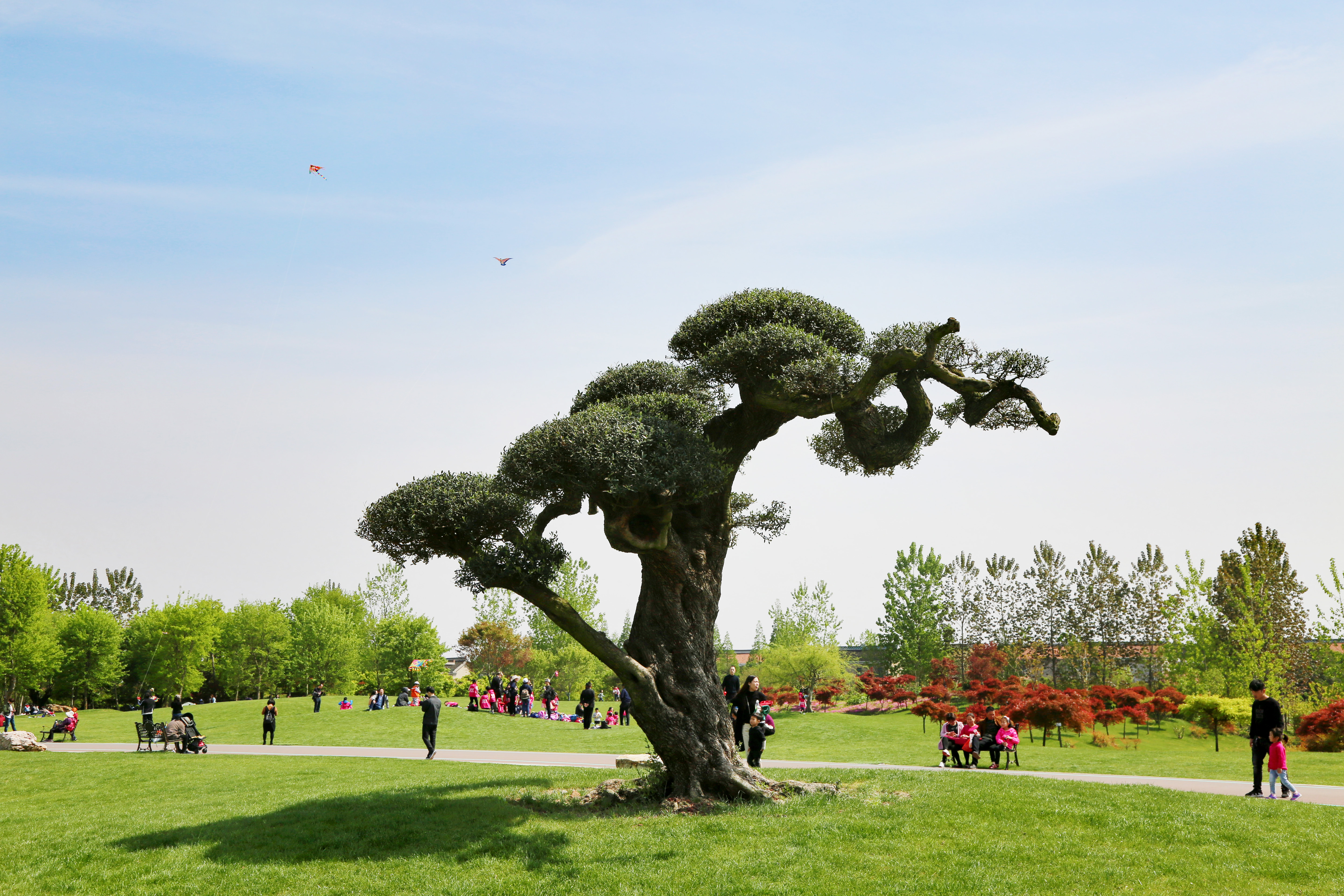 造价过亿，南通竟有这么一块精彩的神秘绿洲，周末休闲好去处