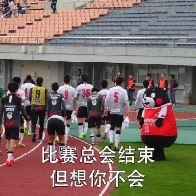 世界杯最土味的话语,关于欧洲杯的土情话