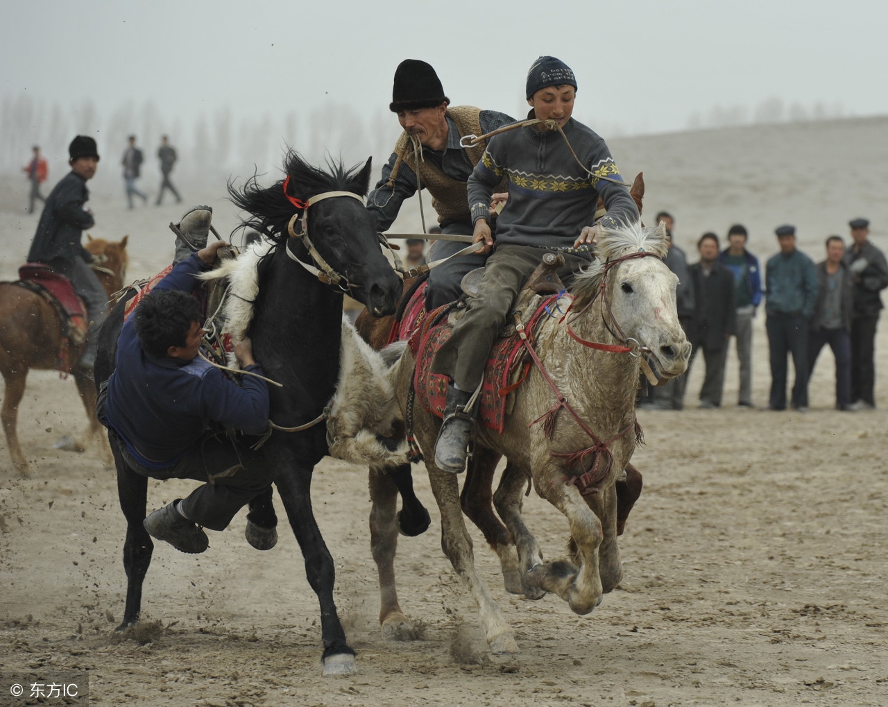 全疆一共有多少个民族,新疆南北疆都有哪些民族