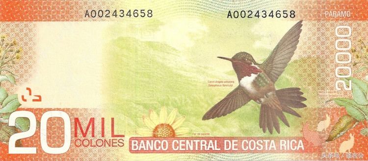 18年世界杯钞票,世界杯货币大全