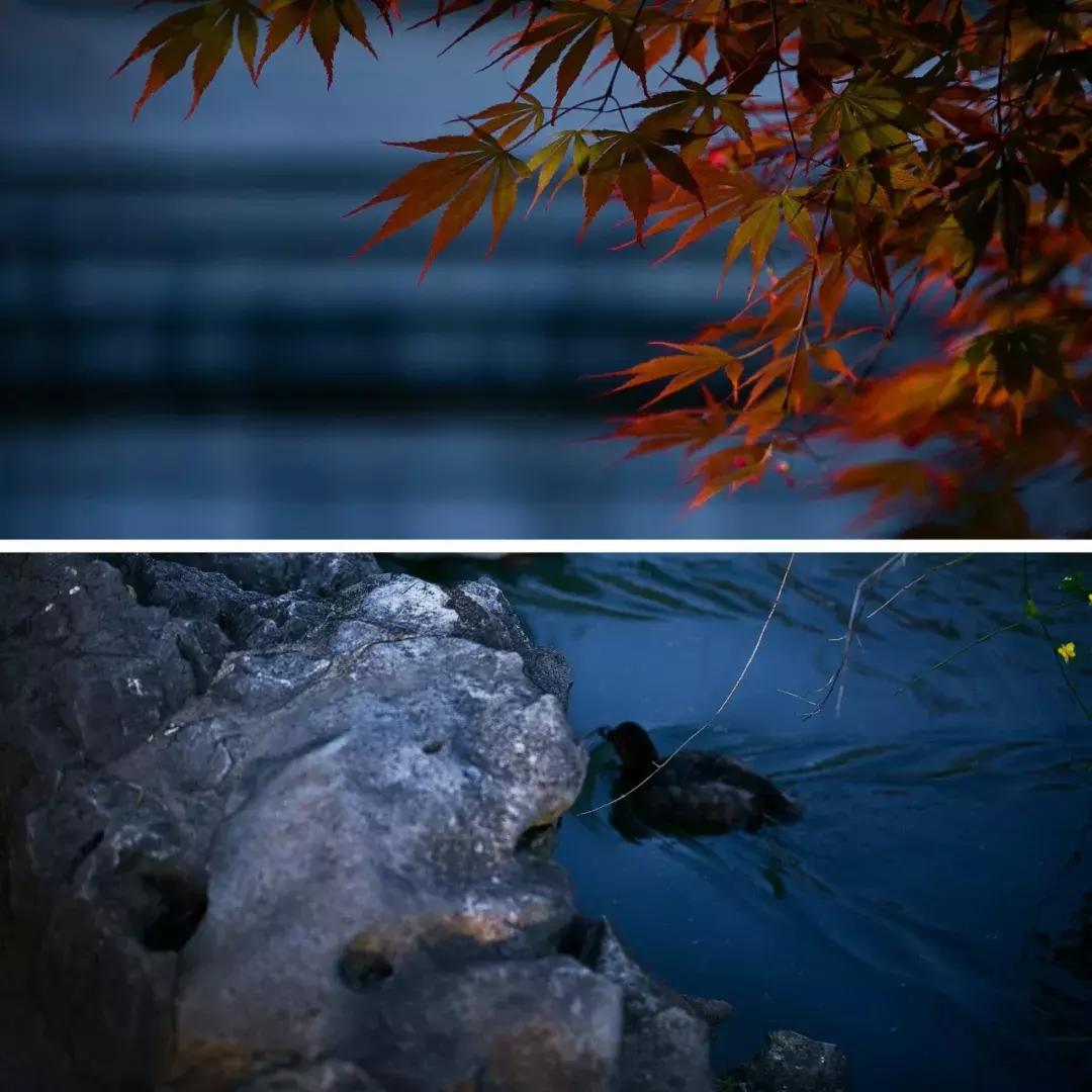 心若无物万般取舍皆自在,心若平和万般轻松自在