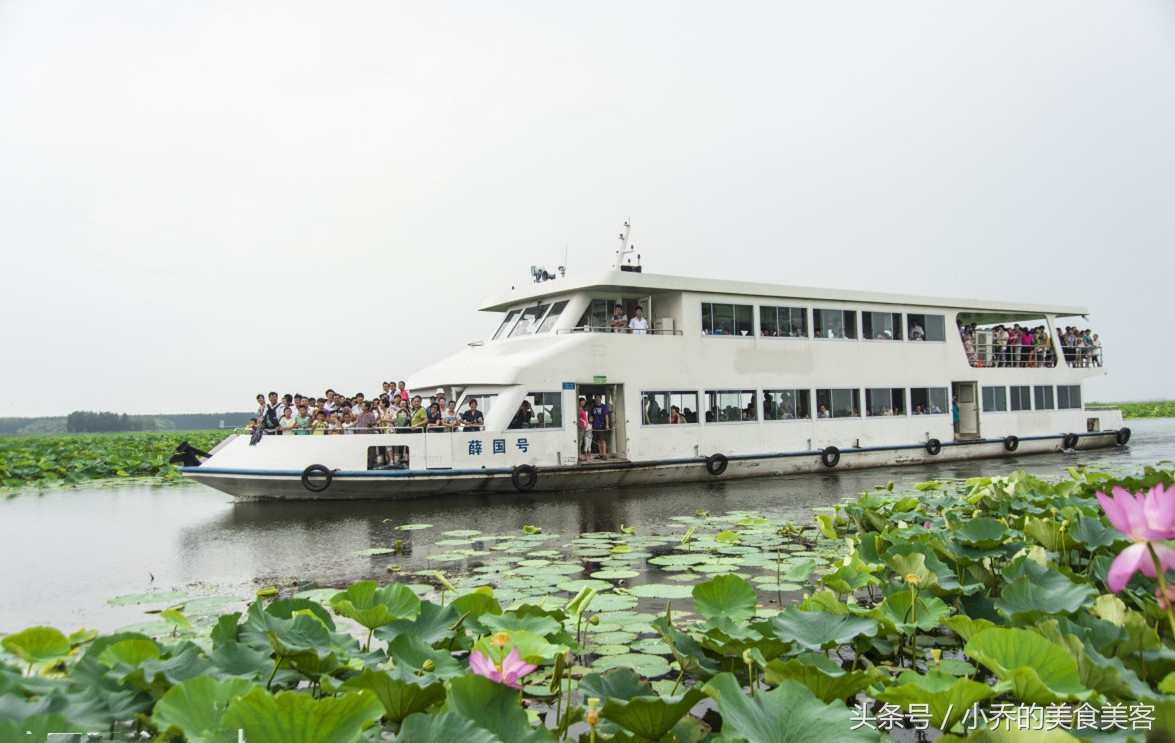 山东微山滑鱼丸怎么做的好吃,微山湖特色鱼丸汤