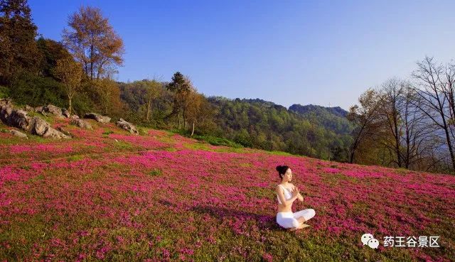 夏至来临，气温攀升，药王谷220两天一夜欢乐避暑体验！黑森林/森林花海/地心峡/水世界……