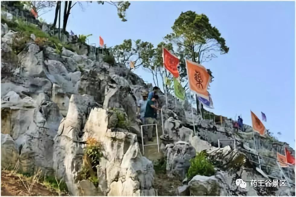 夏至来临，气温攀升，药王谷220两天一夜欢乐避暑体验！黑森林/森林花海/地心峡/水世界……