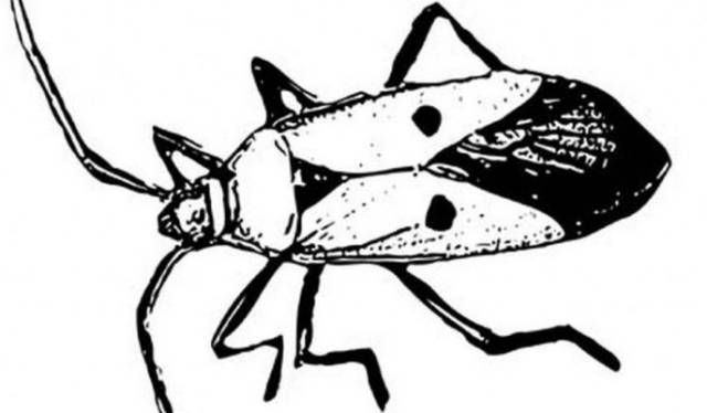 欺骗你多年的小知识，今天终于找全了！