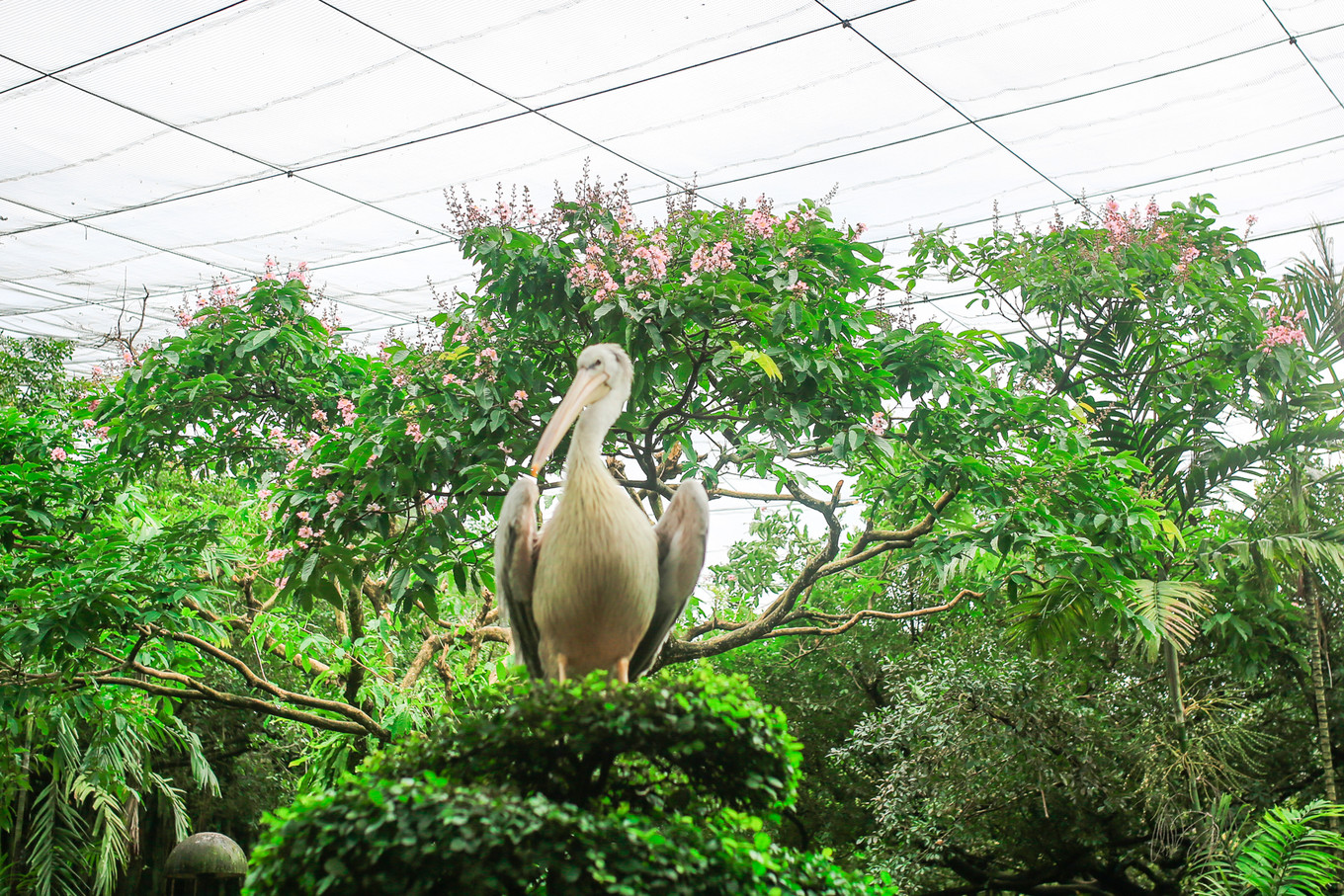 新加坡马来西亚亲子游攻略,马来西亚亲子游自由行旅游攻略