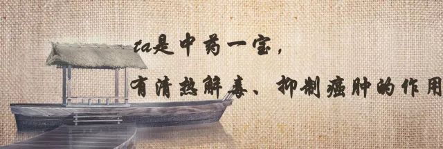 百草园有什么药草,百草园里面都有什么草