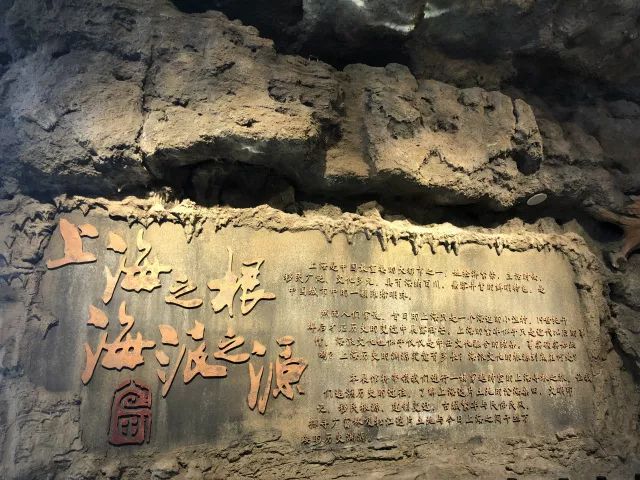 广富林遗址预约门票多少钱,小松探园门票