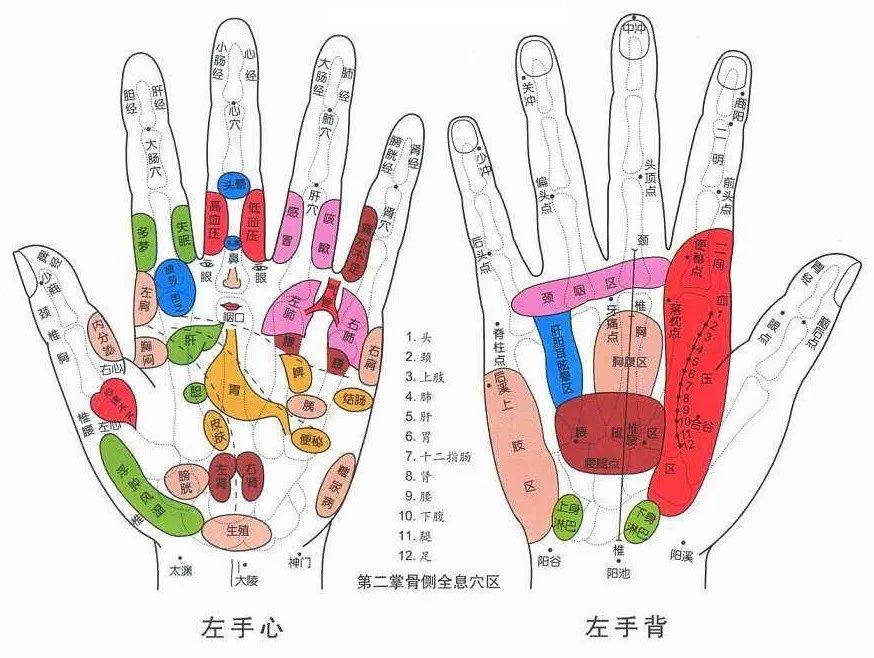 手是健康的镜子,手的健康识别