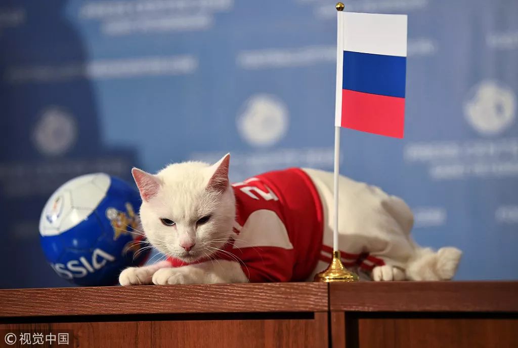 专治不服!看了十多年世界杯,你的准确率可能还不如一只大龙虾