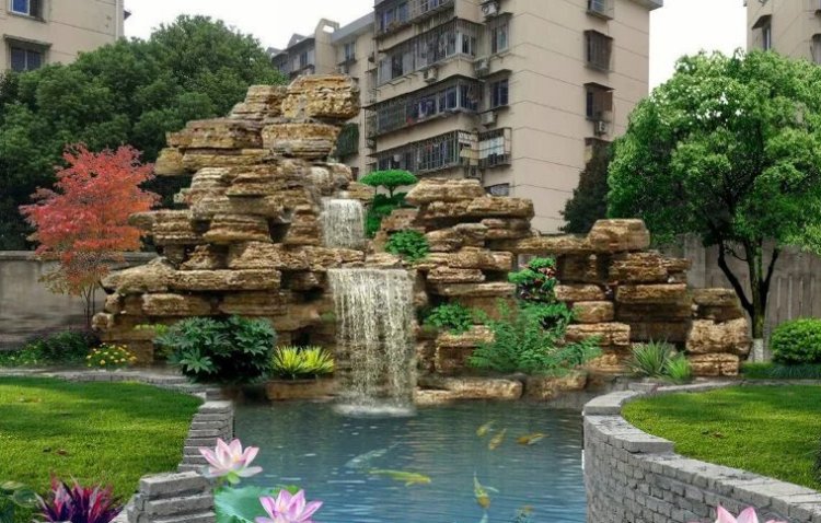 多肉滴水观音养殖方法,滴水观音盆景养殖方法