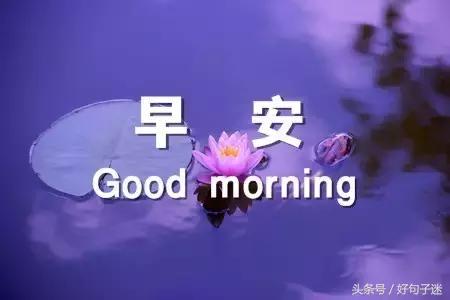 美好的早安祝福语微信集锦78句,早安祝福语简短早上好