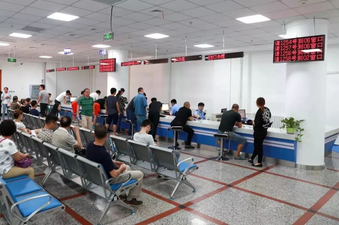 交警违章处理最新通知,近期交通违章处理