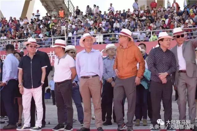 赛马现场直播电台,赛马直播间在线观看新疆