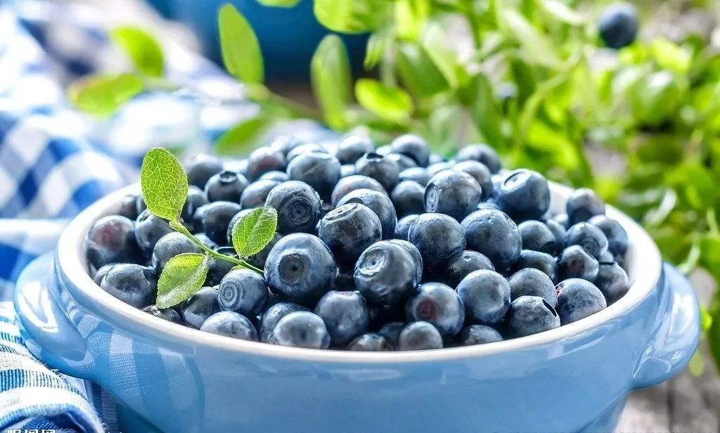 王满:品牌建设正在成为我国林业产业界的重点工作!