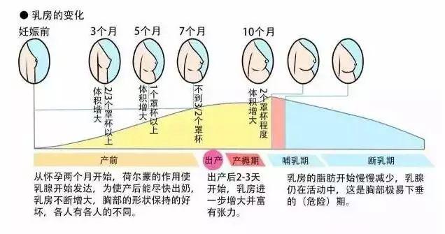 一胎胸部下垂干瘪二胎还有救吗,生了二胎乳房下垂干瘪怎么办