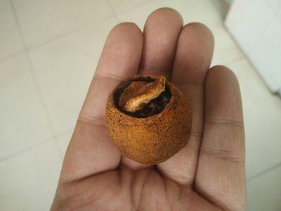 小青柑普洱茶如何辨别真假,小青柑普洱茶如何辨别