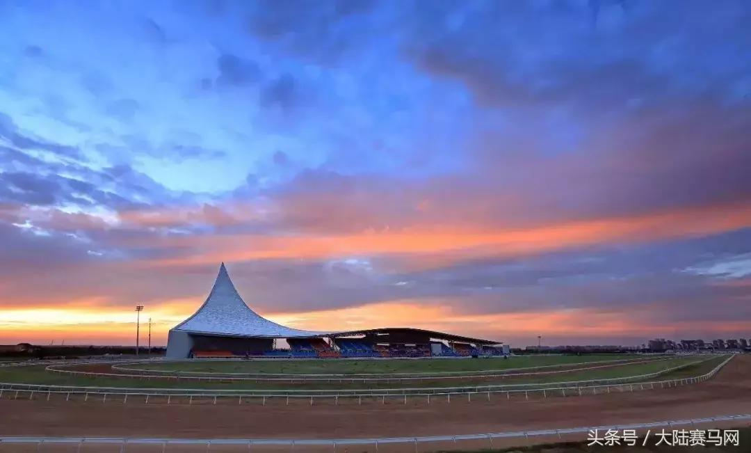 伊泰大漠马场,内蒙古伊泰杯2023