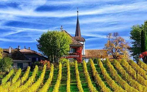 红酒世界杯,中国葡萄酒大赛获奖红酒