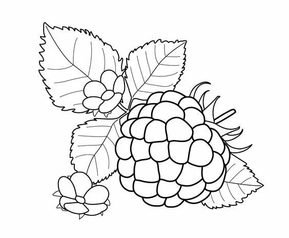 儿童简笔画蔬菜和水果,多吃水果蔬菜简笔画