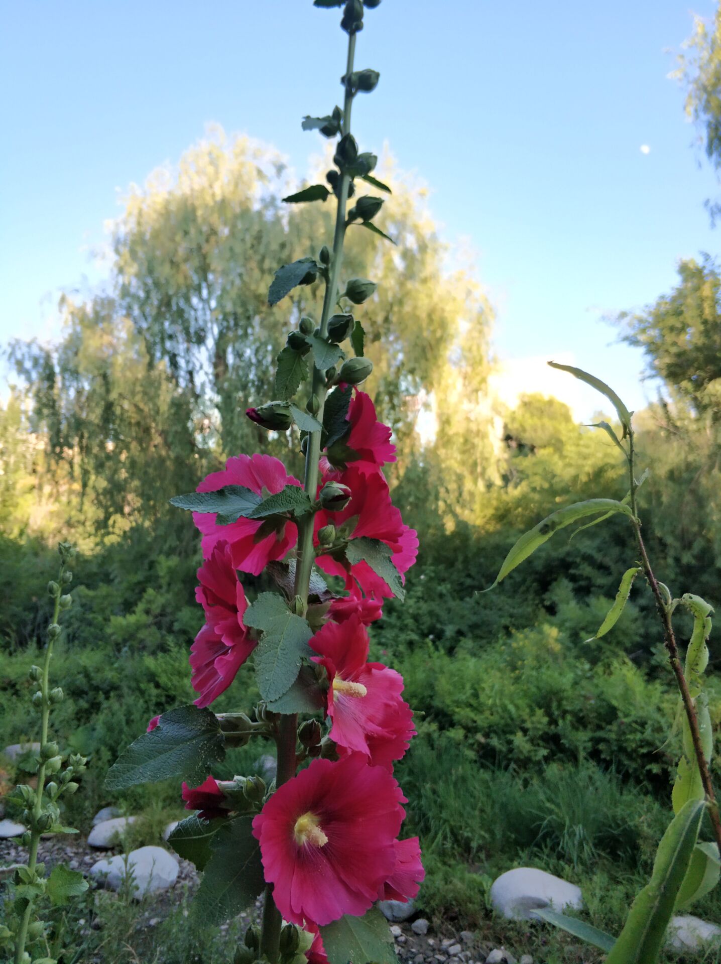 乌鲁木齐南湖美景图,乌鲁木齐南湖公园景区美图