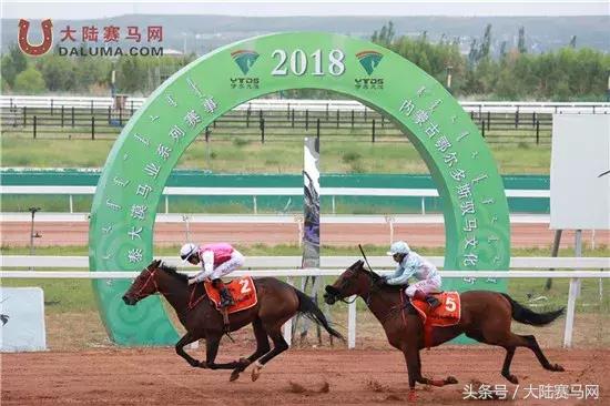 2018伊泰大漠马业系列纯血速度赛马赛事“鄂尔多斯金杯”圆满举办