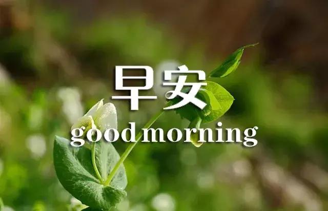 问候早安正能量的优美句子,真诚的友谊早安问候最新