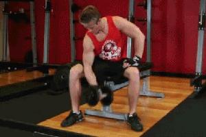 怎么让手臂肌肉线条明显无器械,学生党怎么样手臂肌肉线条变清晰