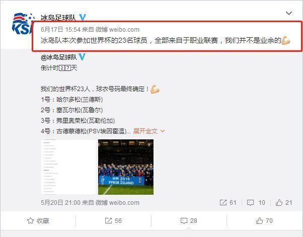 冰岛队今年进入世界杯了吗,世界杯有冰岛队吗