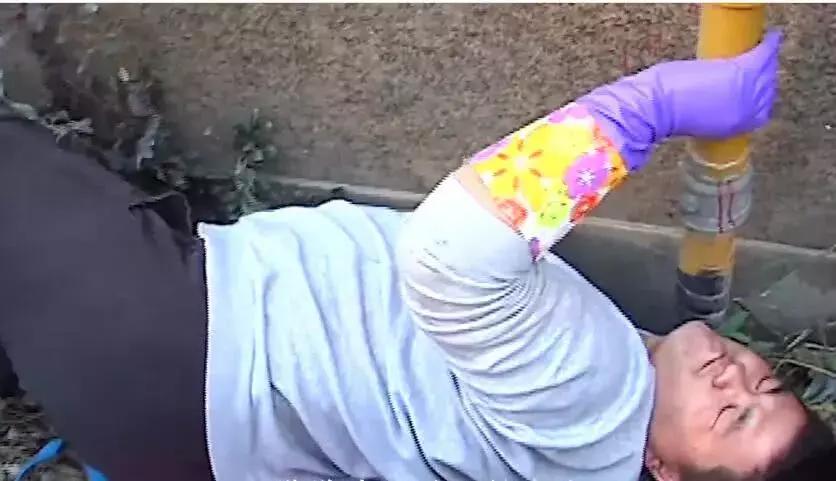 母狗将幼崽藏在下水管里,母狗总是把狗仔藏起来