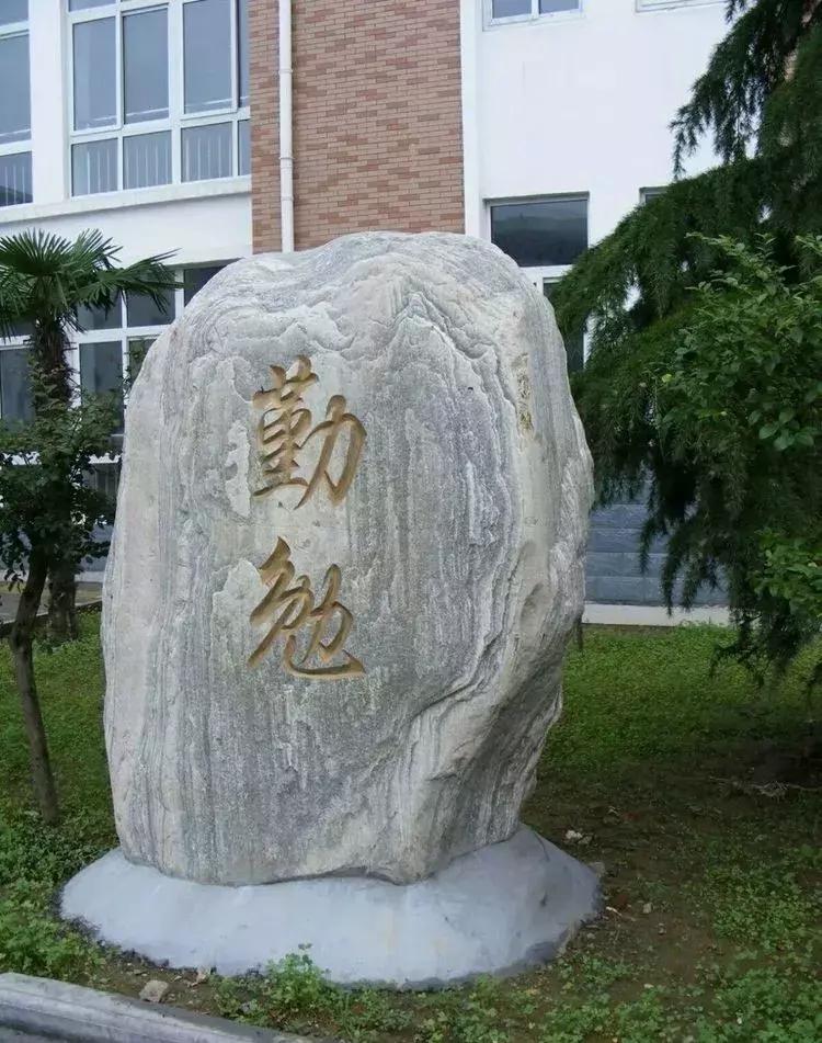 悠悠颍水河畔，冉冉教育新星——记蓬勃发展中的临颍三高