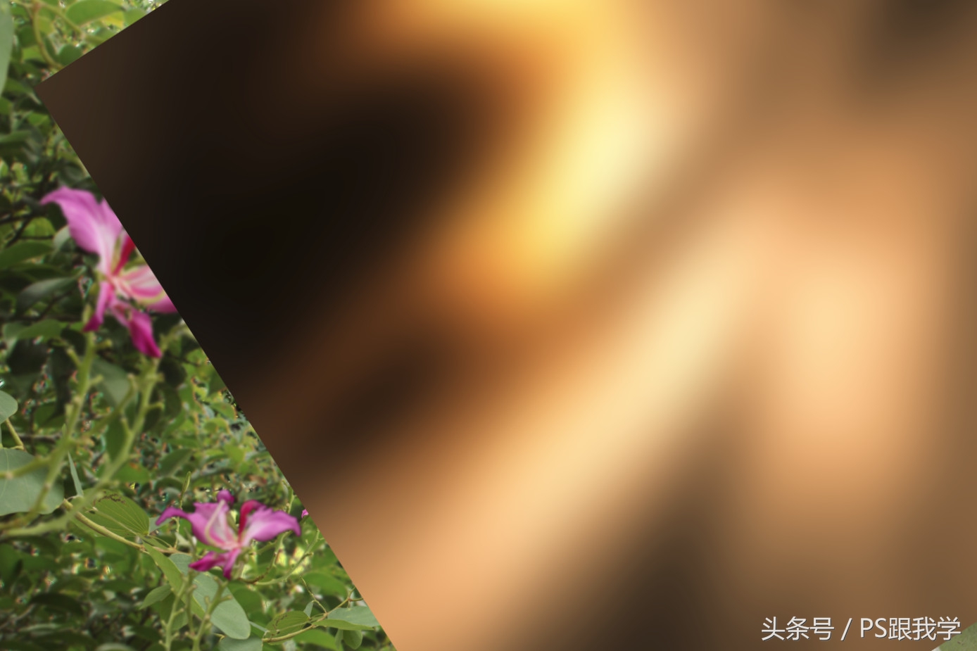 ps做花园效果图,环艺景观效果图photoshop教程