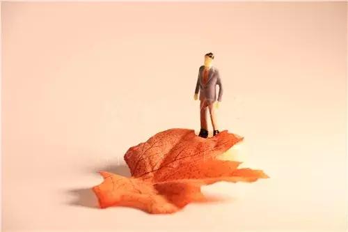 阿里内部员工谈拼多多,阿里高管辞职也要干的生意