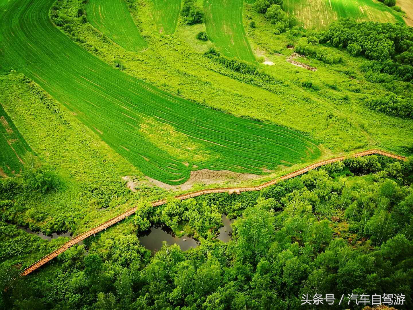 同一条路春夏秋冬,同一条路十年前和十年后