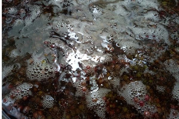 花椒与麻椒的区别,花椒与麻椒区别