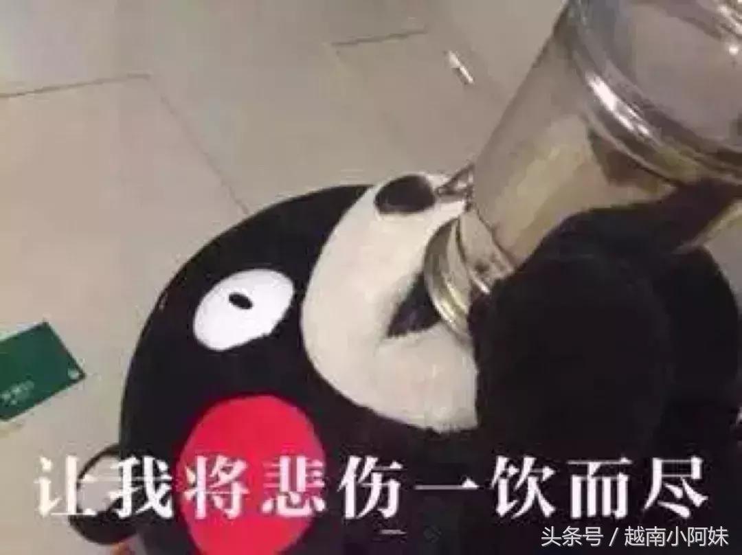 高晓松浅谈世界杯,高晓松足球阴谋论