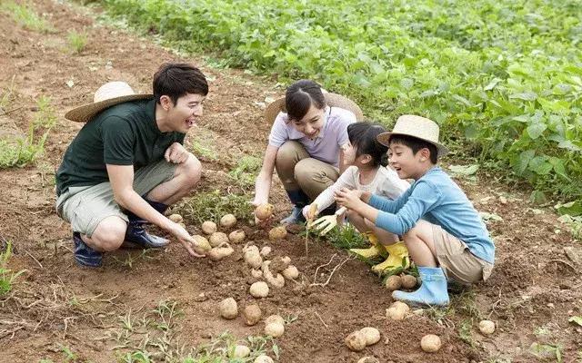 农村种植合作社如何申请免息贷款,家庭农场农业贷款怎么申请