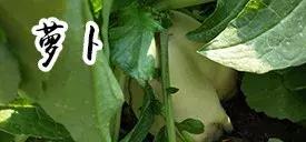 吉林长春农家乐有哪些,长春合心镇农家乐