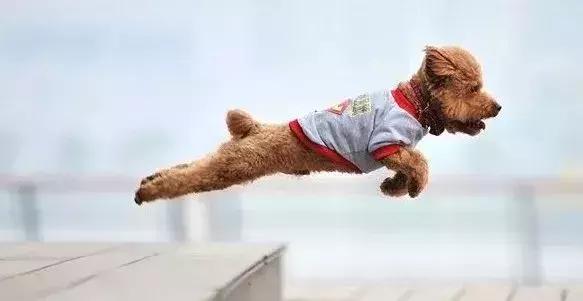 觉得工作太单调,觉得工作特别不顺