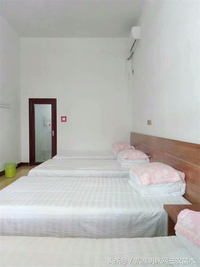 梨木台风景区顺缘农家院,天津蓟县梨木台顺鑫缘农家院